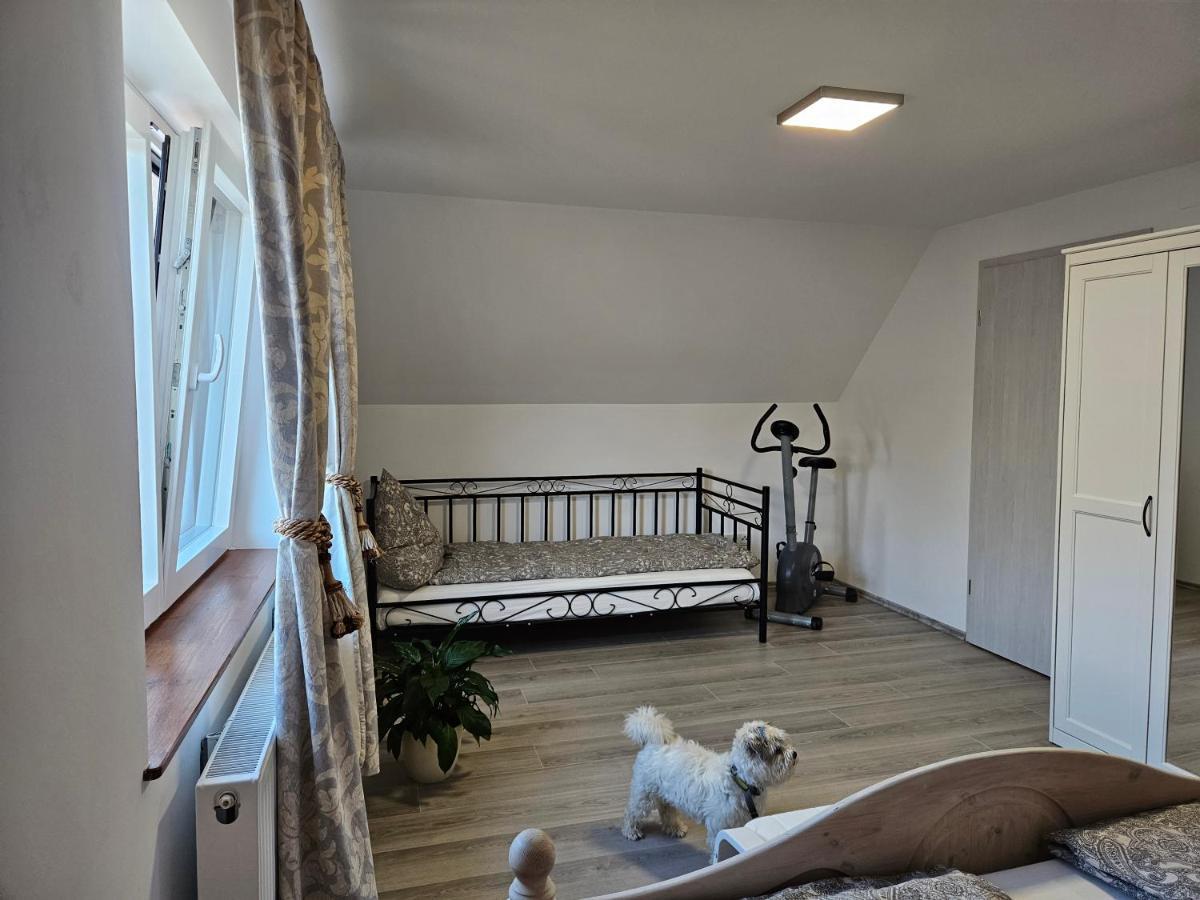 Apartment Casa Rares Wintrich